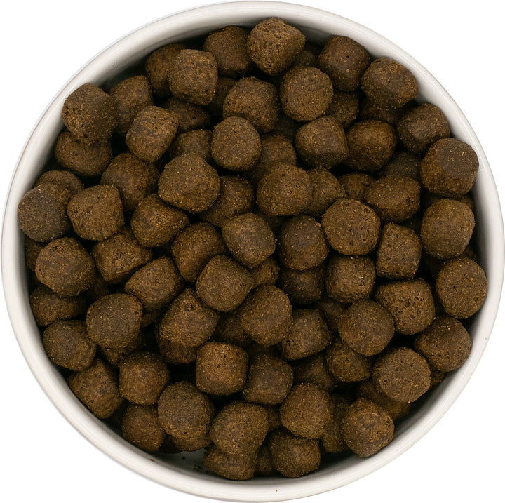 Pienso para cachorro de raza grande – Salmón con boniato y verduras