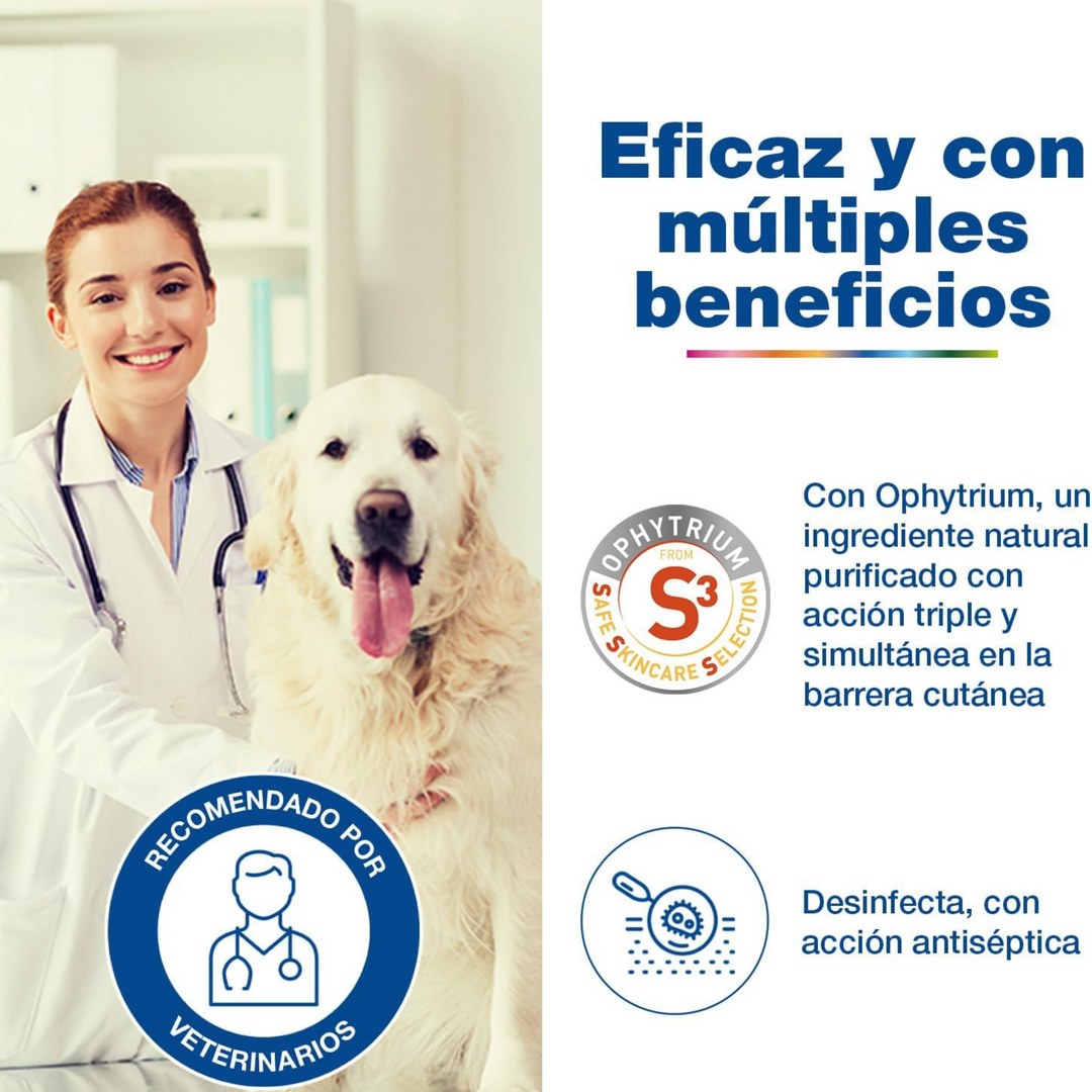 🐾 Douxo S3 Pyo Pads – Discos antisépticos para zonas localizadas en perros y gatos