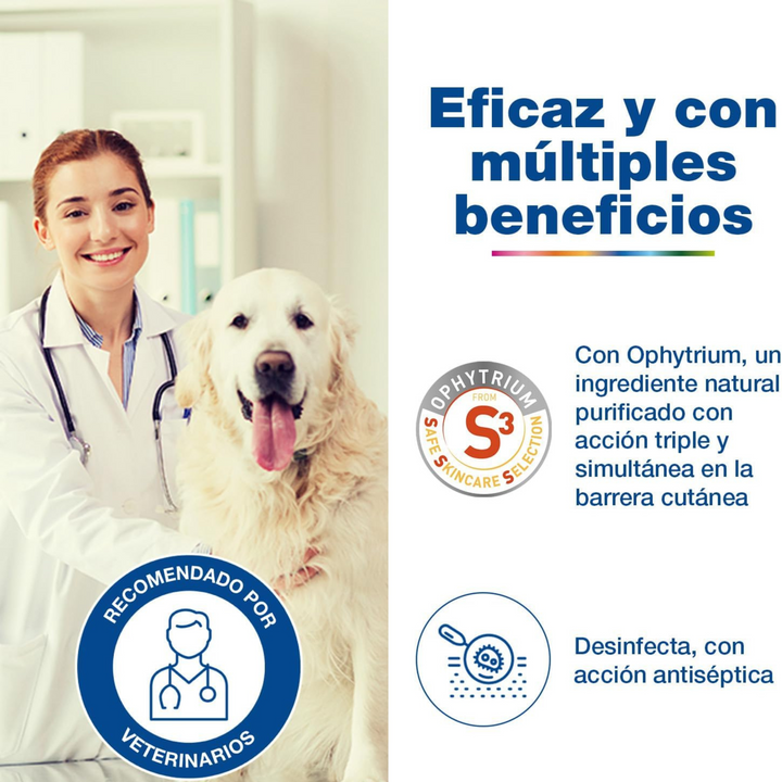 🐾 Douxo S3 Pyo Pads – Discos antisépticos para zonas localizadas en perros y gatos