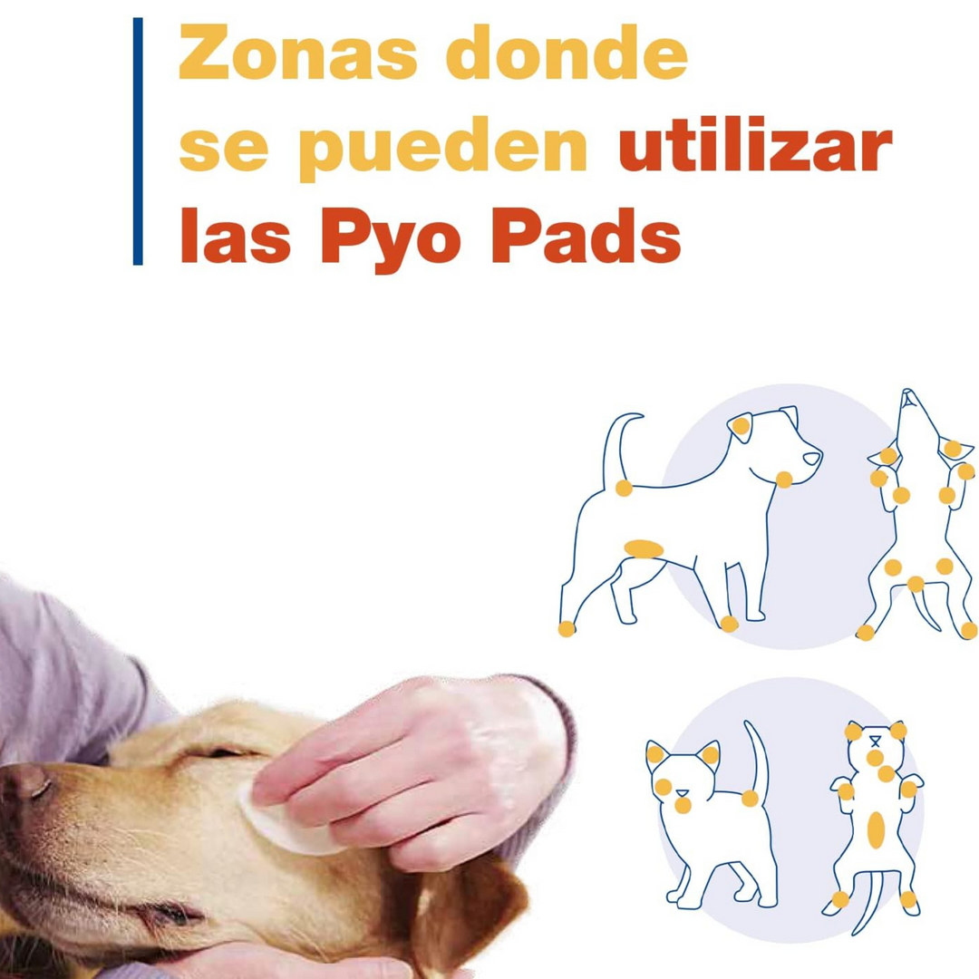 🐾 Douxo S3 Pyo Pads – Discos antisépticos para zonas localizadas en perros y gatos