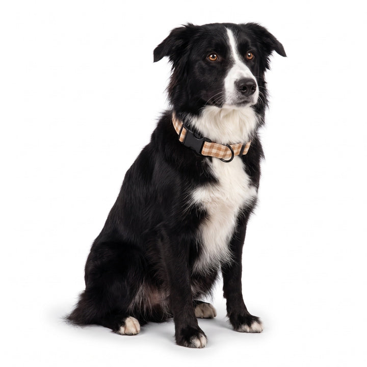 Collar Regulable Vichy Bellota para Perro | Vetoven
