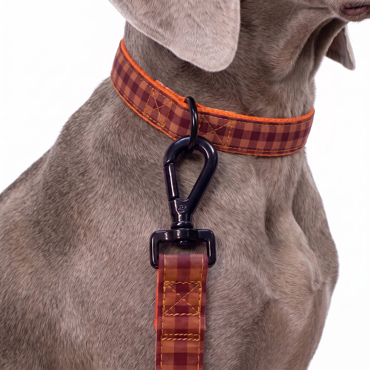 Correa Vichy Teja para Perro | Vetoven