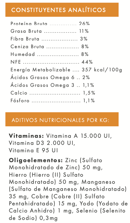 Pienso para perro adulto raza grande Vetoven – Pavo con boniato y arándanos, cuidado articular y digestión saludable
