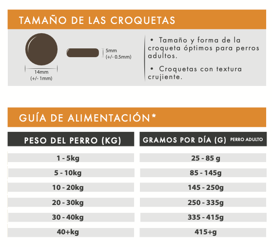 Pienso para perro adulto raza grande Vetoven – Pavo con boniato y arándanos, cuidado articular y digestión saludable