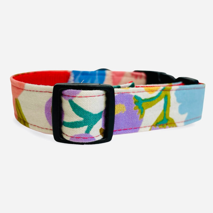 Collar de paseo para perro con forro de malla acolchada transpirable en color rojo coral.