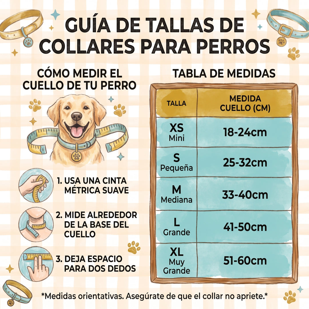 Collar Regulable Vichy Bruno para Perro | Vetoven