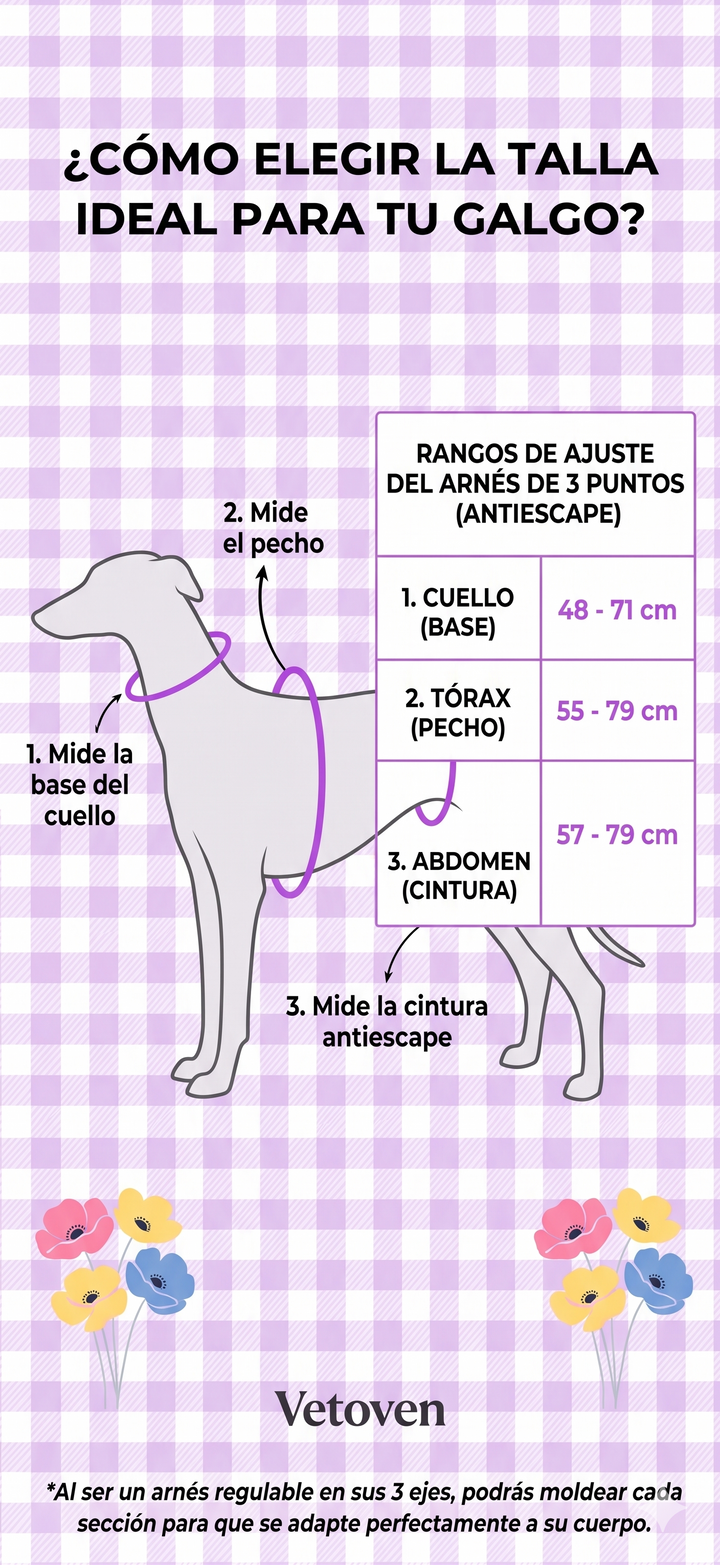 Arnés Galgo Antiescape 3 Puntos Acuamar - Vetoven