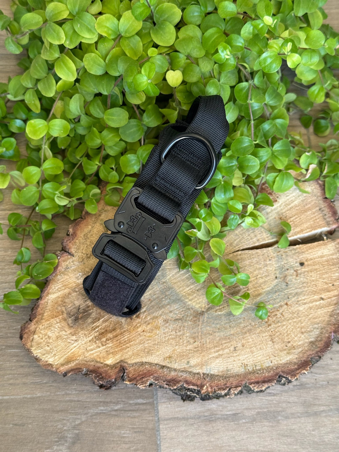 Collar para Perro “Negro Sombra” – Dominio, Estilo y Seguridad