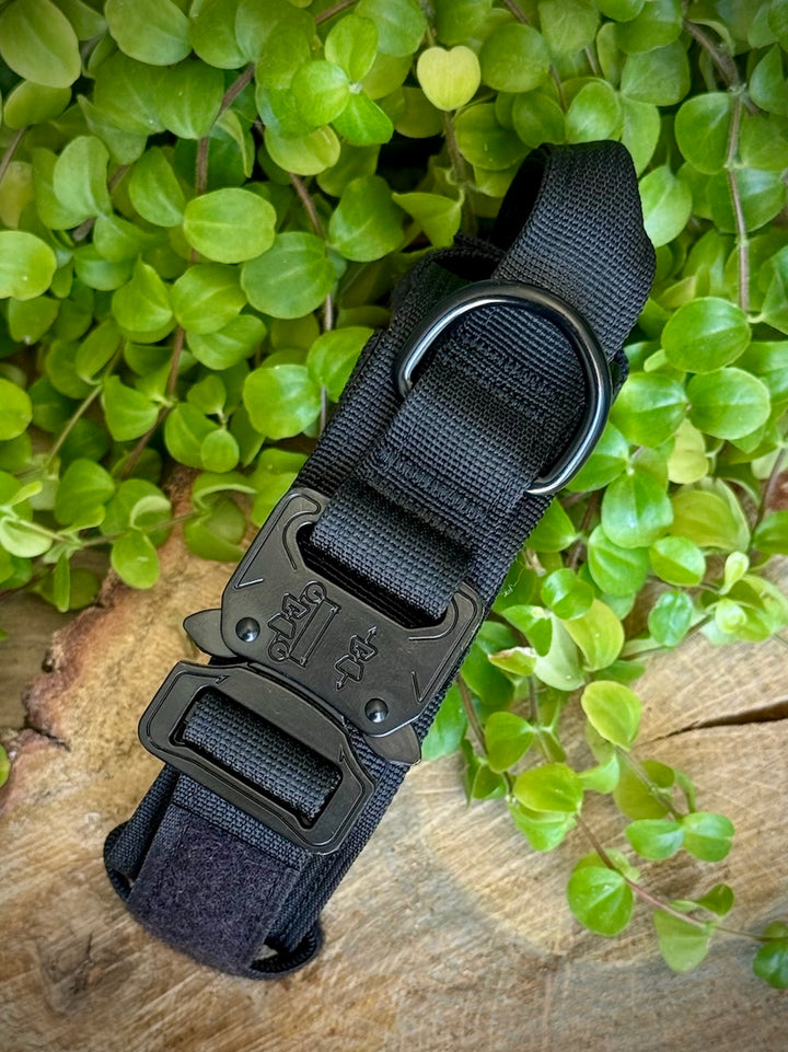 Collar para Perro “Negro Sombra” – Dominio, Estilo y Seguridad