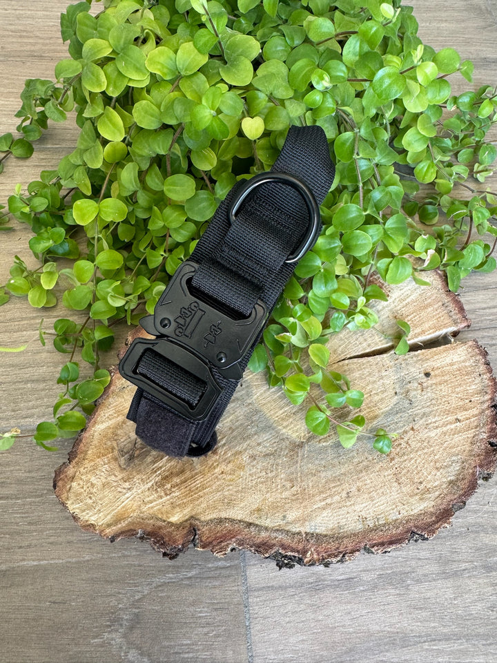 Collar para Perro “Negro Sombra” – Dominio, Estilo y Seguridad