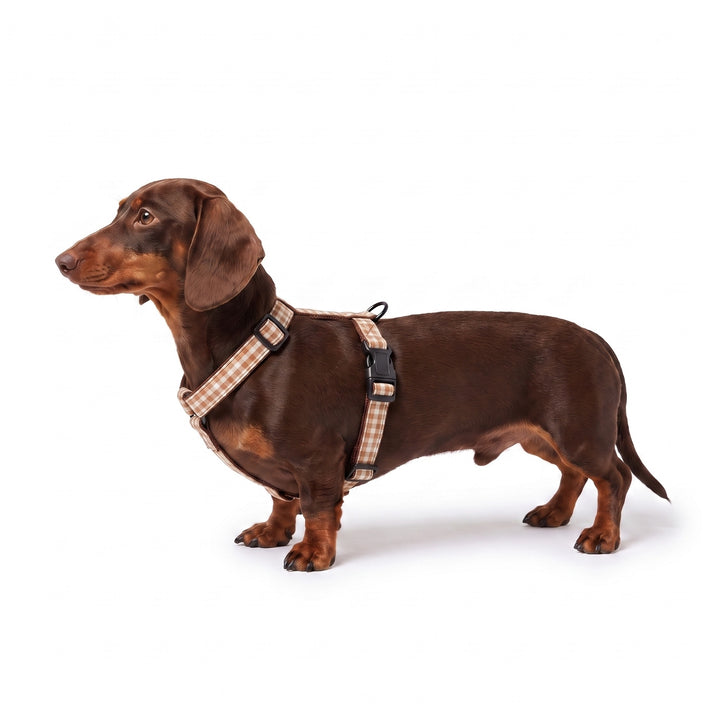 Arnés Regulable Vichy Bellota para Perro | Vetoven