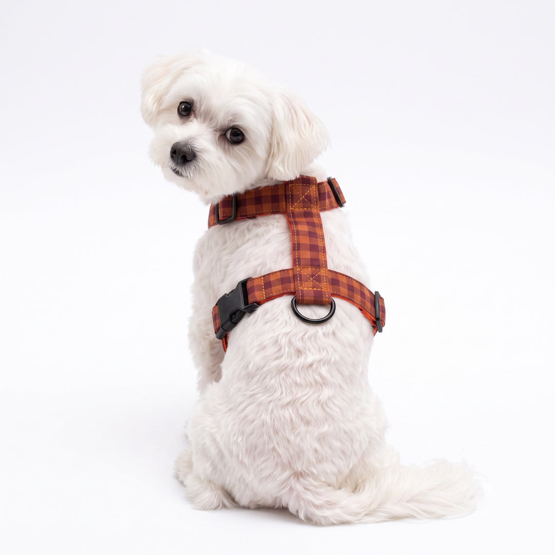 Arnés Regulable Vichy Teja para Perro | Vetoven