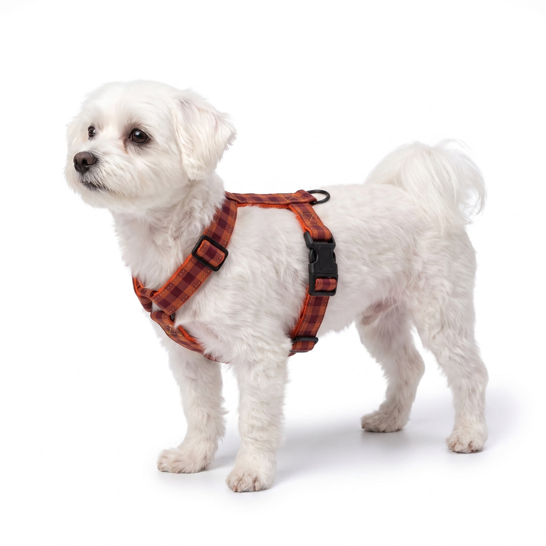 Arnés Regulable Vichy Teja para Perro | Vetoven