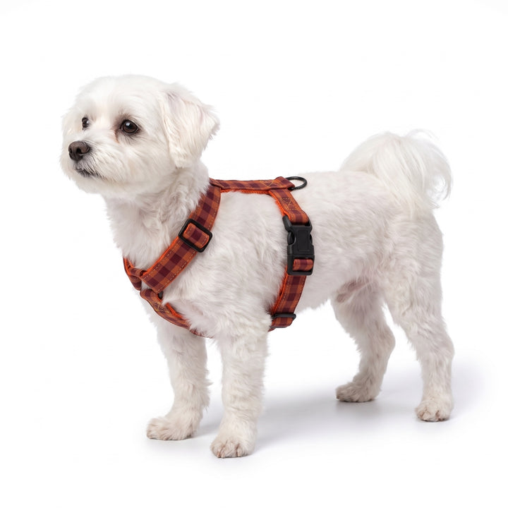 Arnés Regulable Vichy Teja para Perro | Vetoven