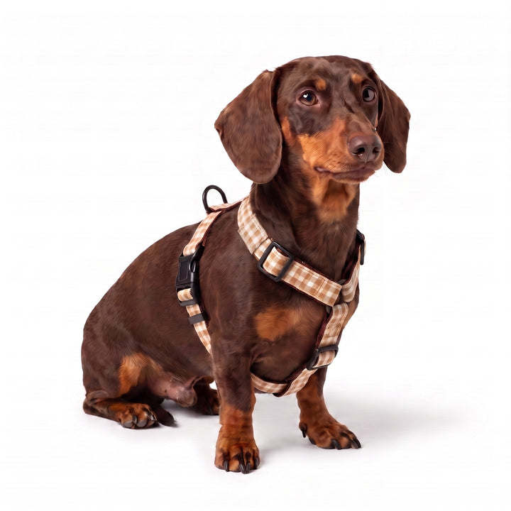Arnés Regulable Vichy Bellota para Perro | Vetoven