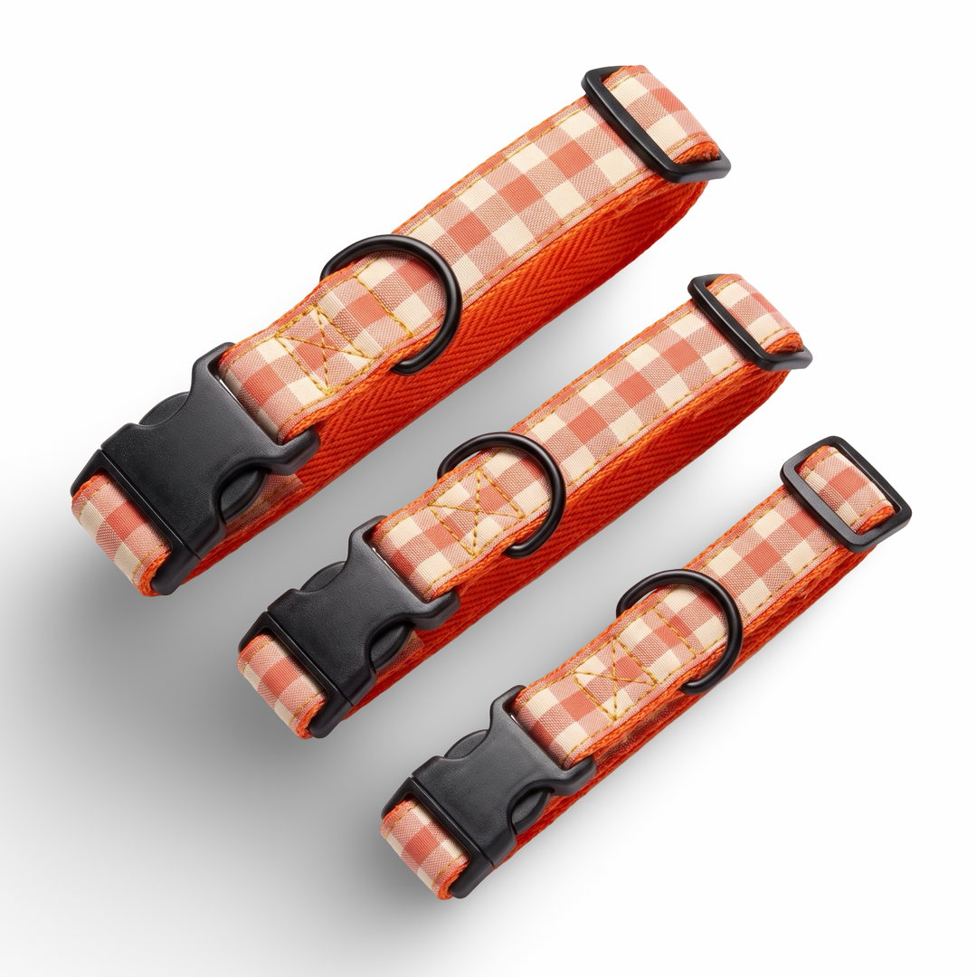 Collar Regulable Vichy Calabaza para Perro | Vetoven