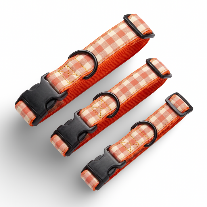 Collar Regulable Vichy Calabaza para Perro | Vetoven