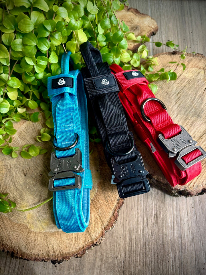 Collar para Perro “Azul Glacial” – Resistencia con Espíritu Aventurero