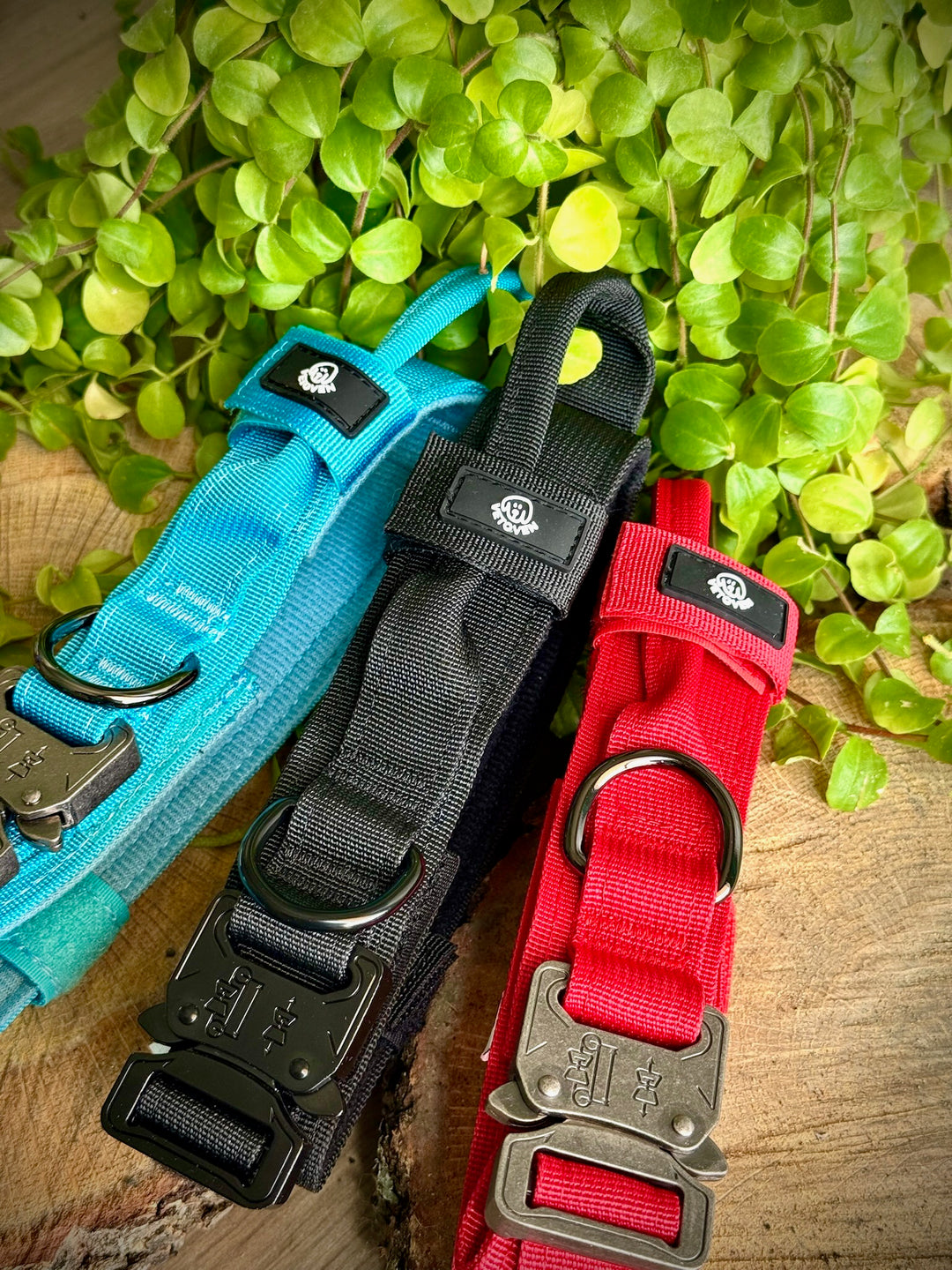 Collar para Perro “Negro Sombra” – Dominio, Estilo y Seguridad