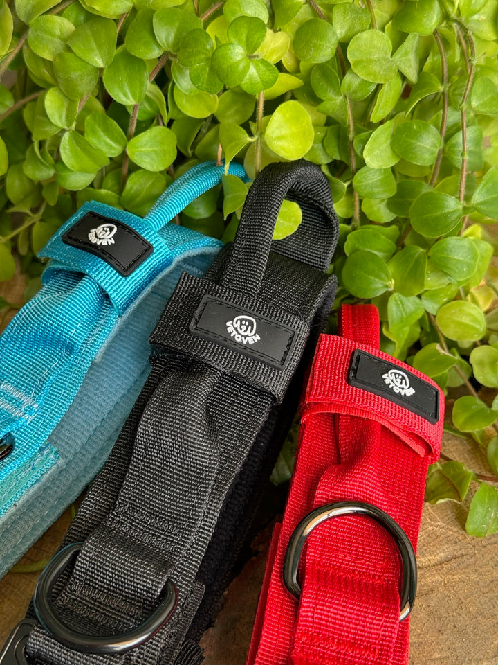 Collar para Perro “Azul Glacial” – Resistencia con Espíritu Aventurero