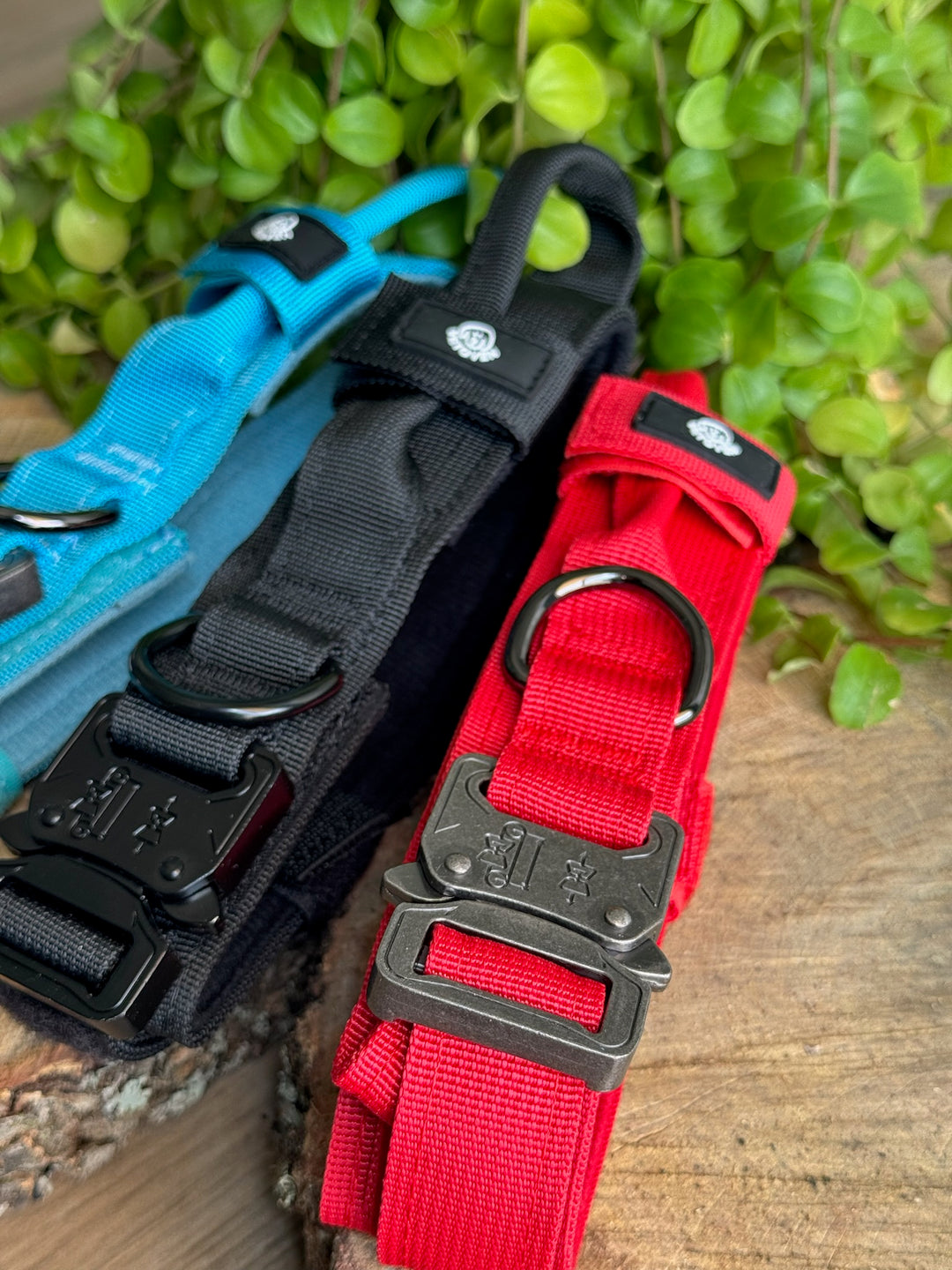 Collar para Perro “Negro Sombra” – Dominio, Estilo y Seguridad
