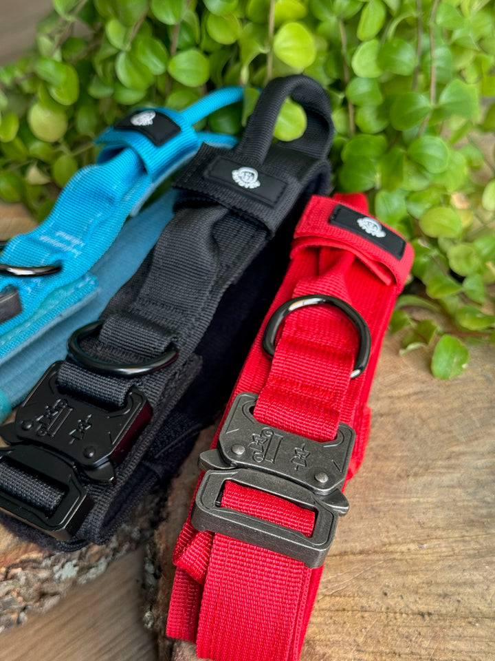Collar para Perro “Negro Sombra” – Dominio, Estilo y Seguridad