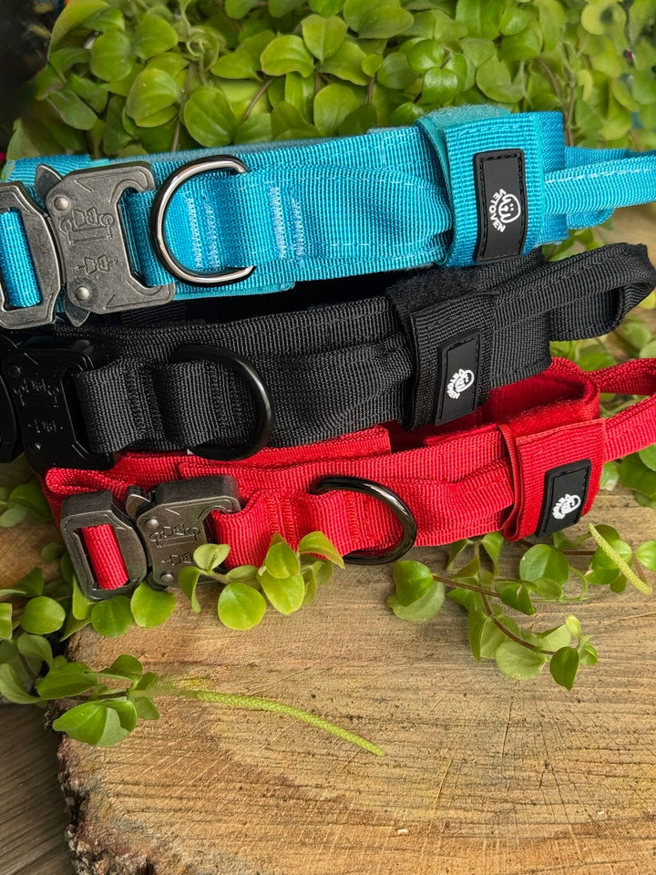 Collar para Perro “Negro Sombra” – Dominio, Estilo y Seguridad
