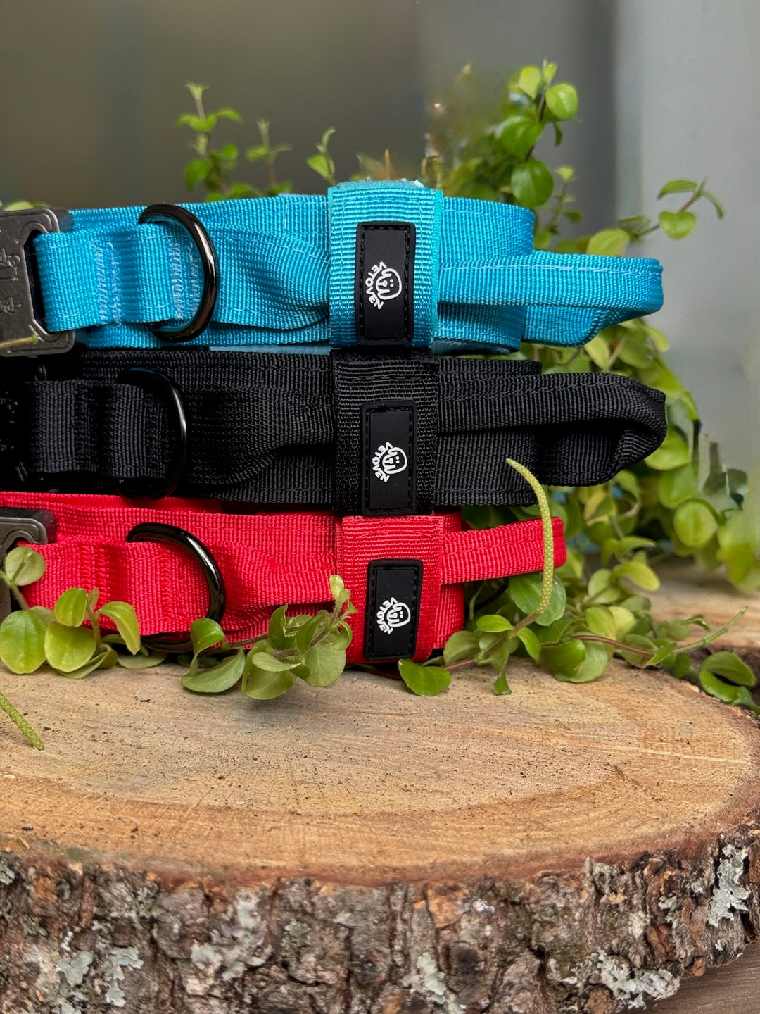 Collar para Perro “Negro Sombra” – Dominio, Estilo y Seguridad