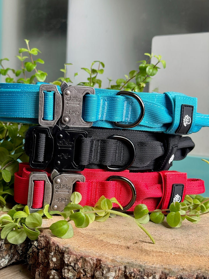 Collar para Perro “Negro Sombra” – Dominio, Estilo y Seguridad