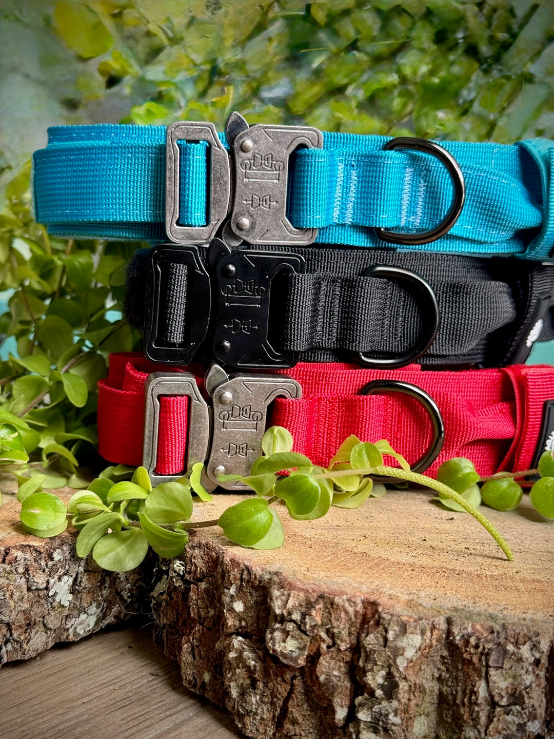 Collar para Perro “Negro Sombra” – Dominio, Estilo y Seguridad