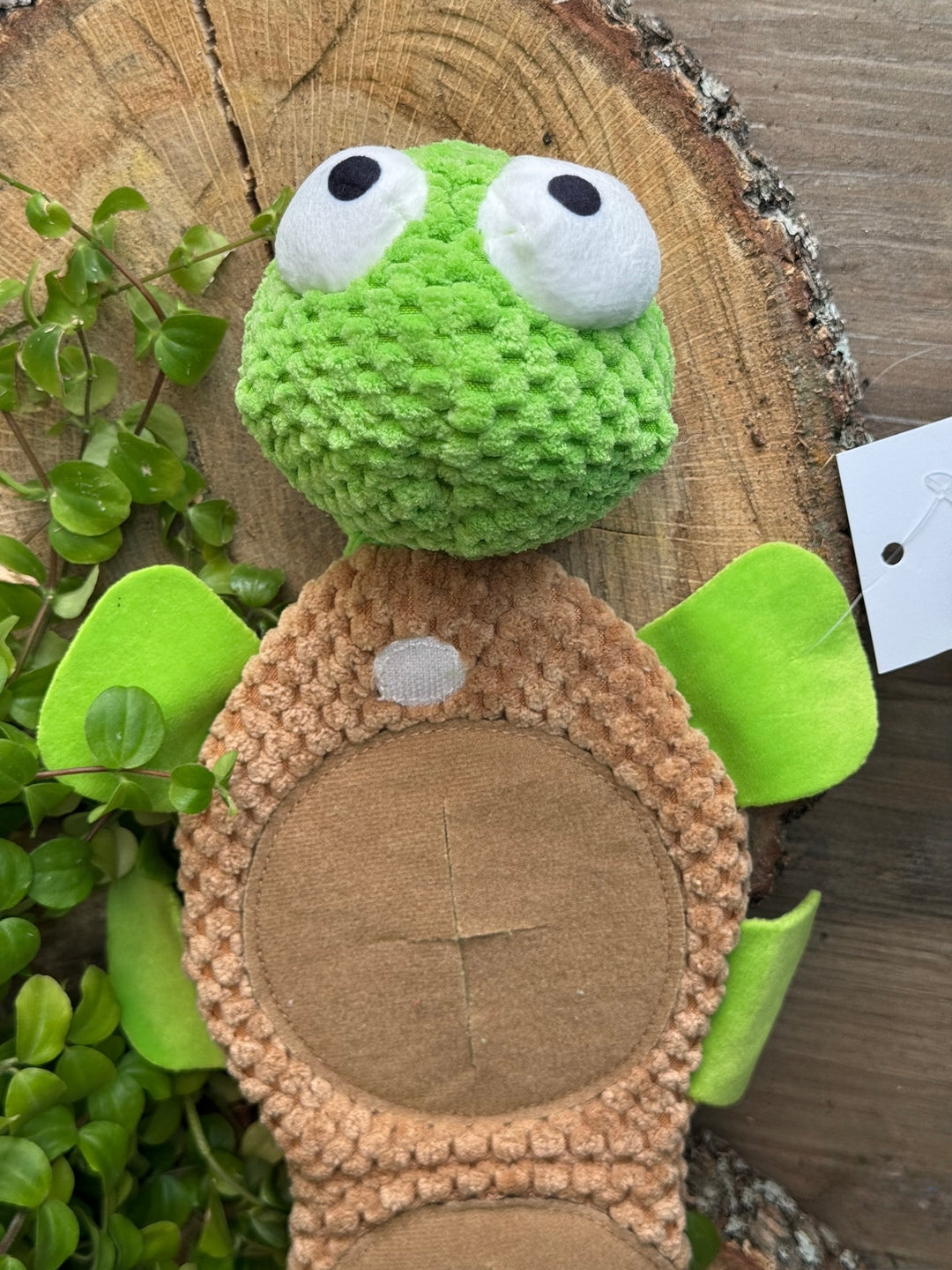 🐢 Juguete Interactivo “Tortuga del Tesoro” – Juego Olfativo con Bolsillos Escondidos