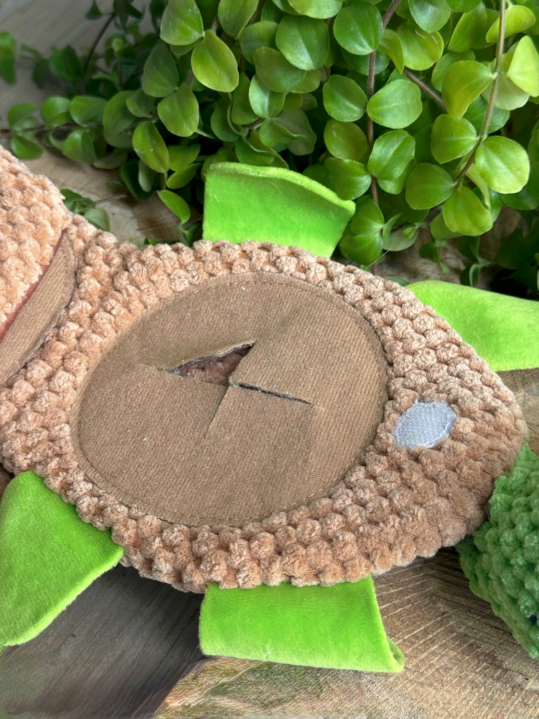 🐢 Juguete Interactivo “Tortuga del Tesoro” – Juego Olfativo con Bolsillos Escondidos
