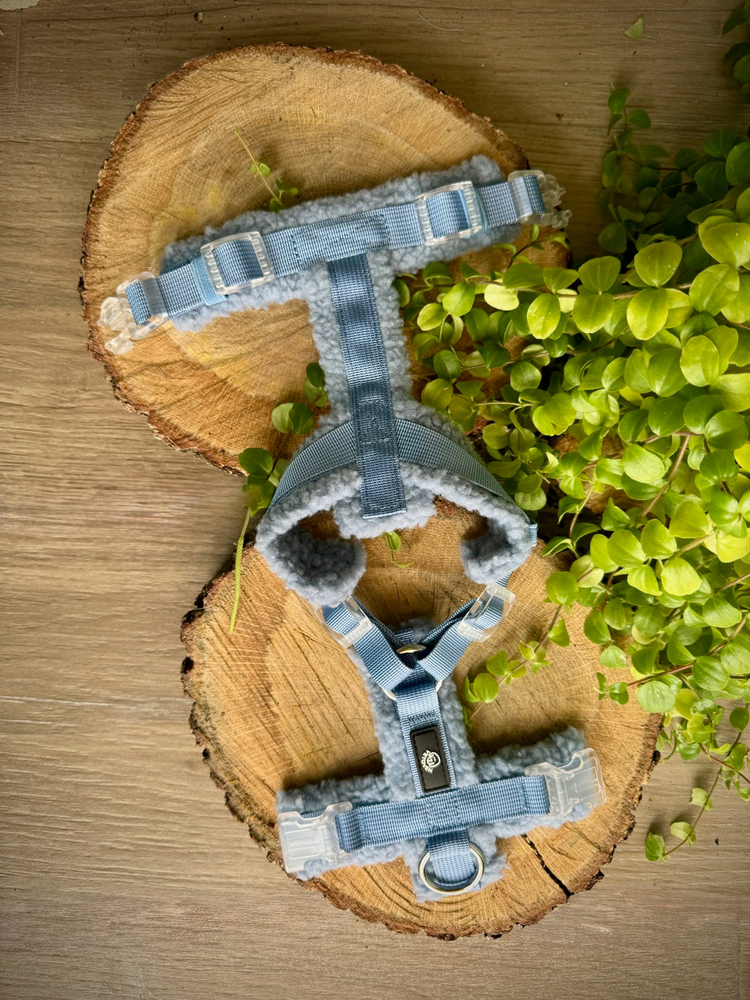 Arnés Acolchado Azul Cielo de Soria – Colección Merina