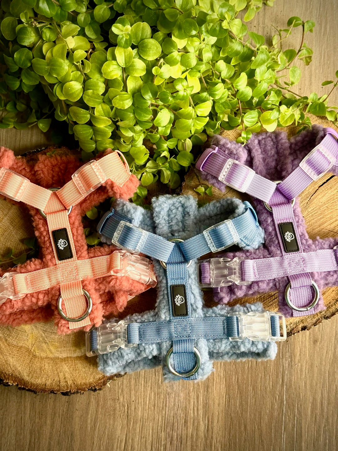 Arnés para perros Lavanda "Valladolid"  – Colección Merina