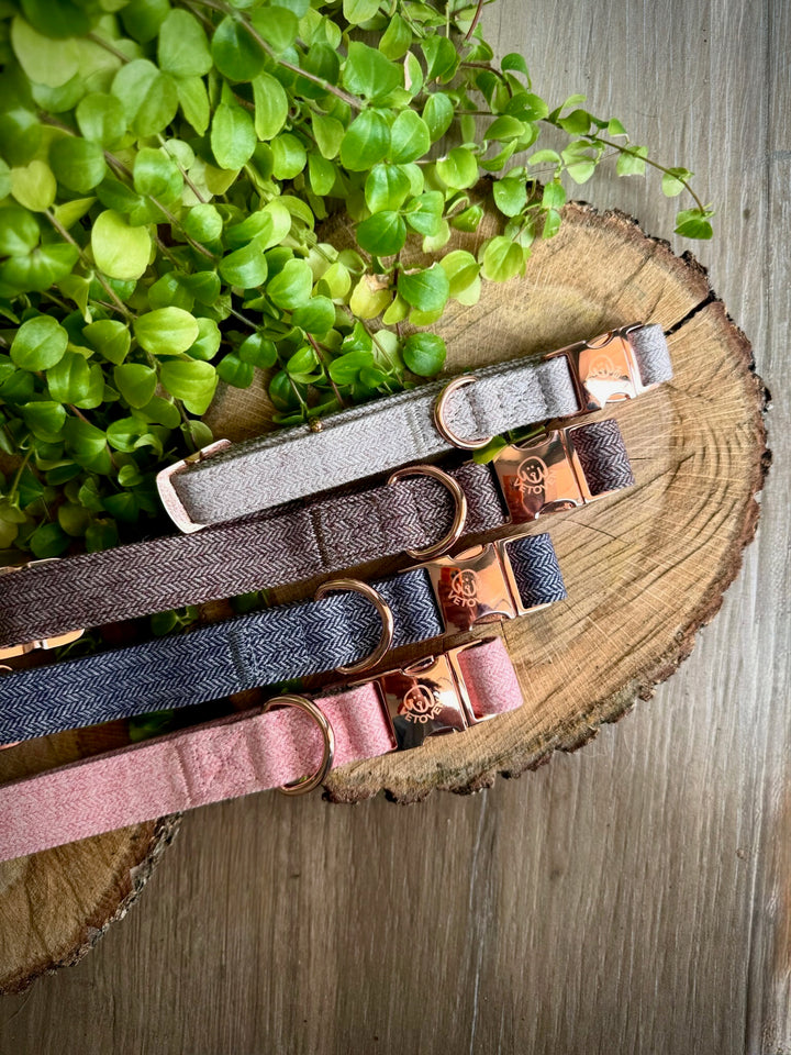 🌲 Collar “Bruma de Pino” – Serenidad y Naturaleza en Cada Paseo