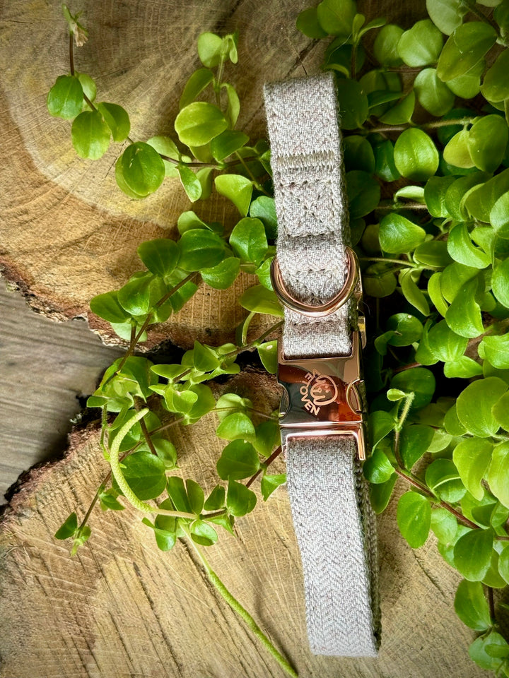 🌲 Collar “Bruma de Pino” – Serenidad y Naturaleza en Cada Paseo