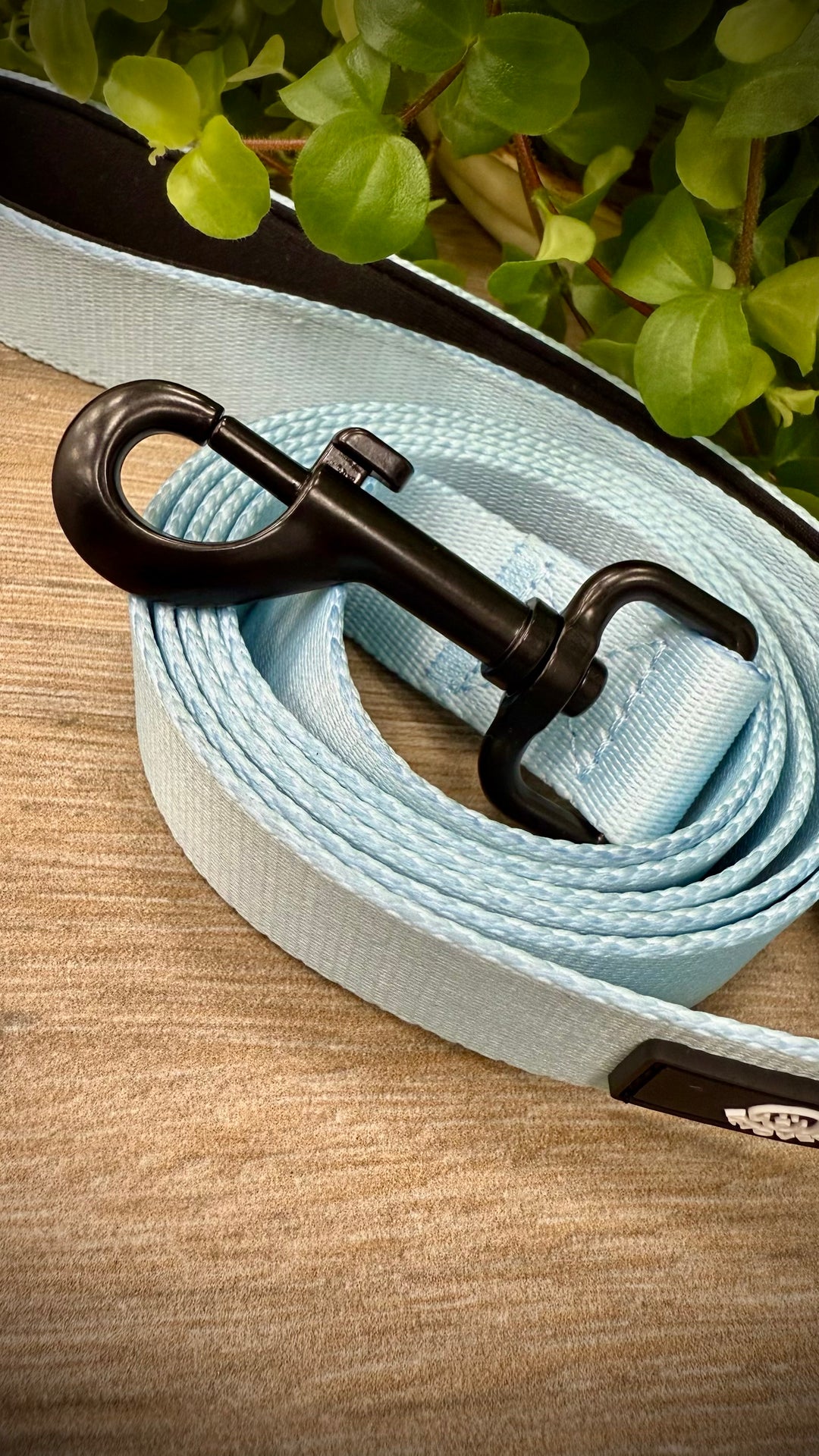 Correa para Perro Cielo Vetoven - Colección Primavera