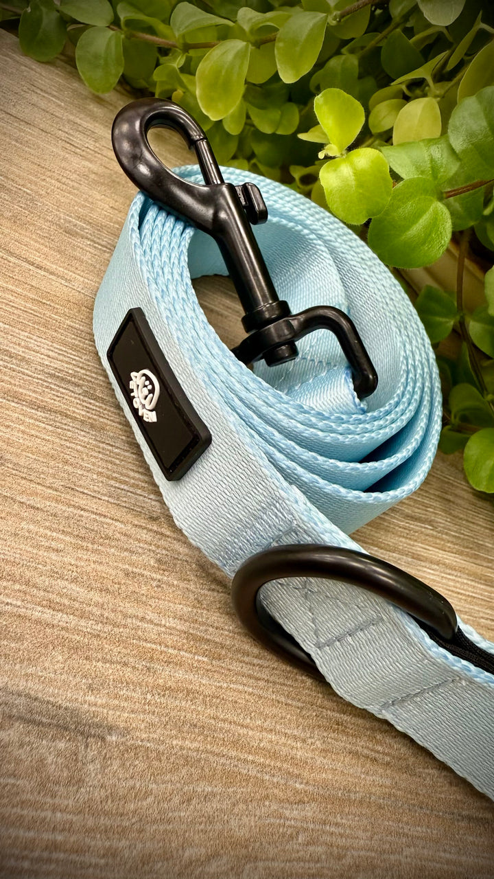 Correa para Perro Cielo Vetoven - Colección Primavera