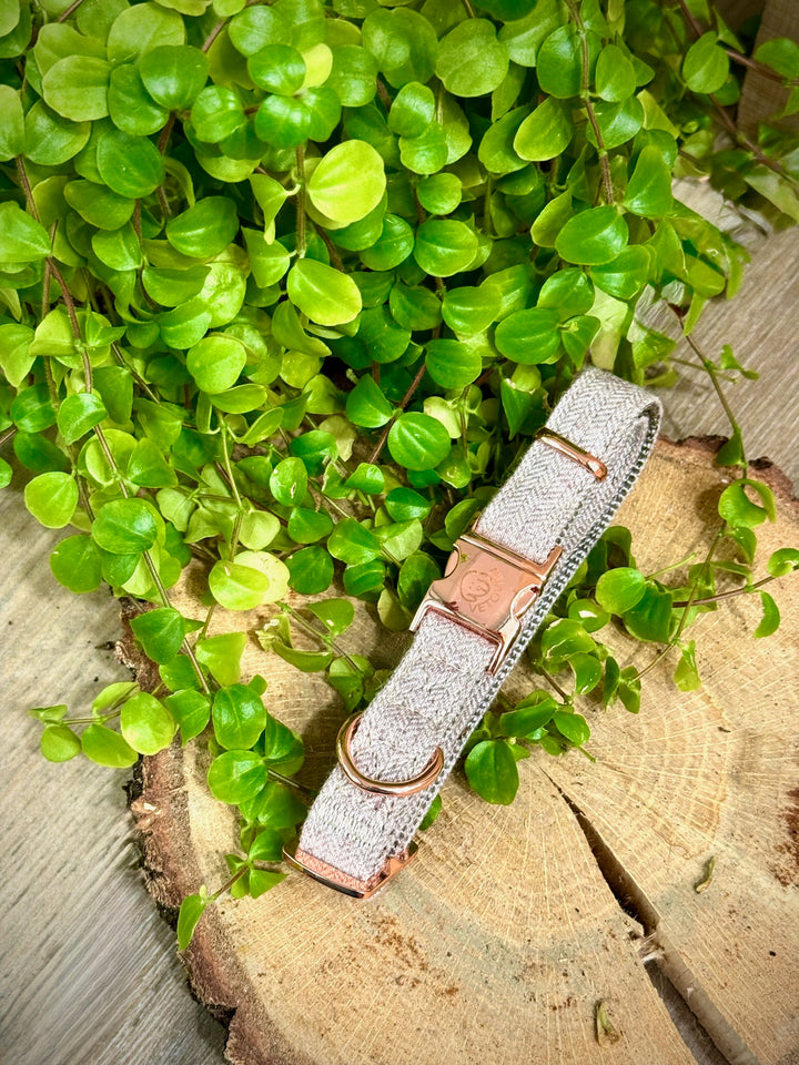 🌲 Collar “Bruma de Pino” – Serenidad y Naturaleza en Cada Paseo