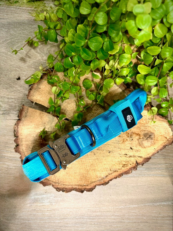 Collar para Perro “Azul Glacial” – Resistencia con Espíritu Aventurero