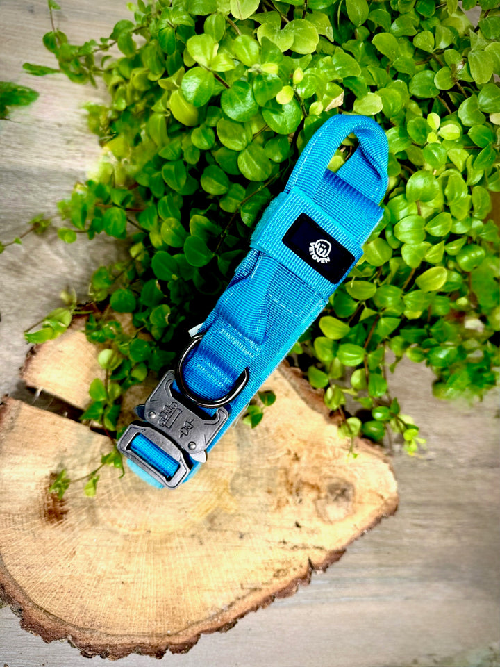Collar para Perro “Azul Glacial” – Resistencia con Espíritu Aventurero