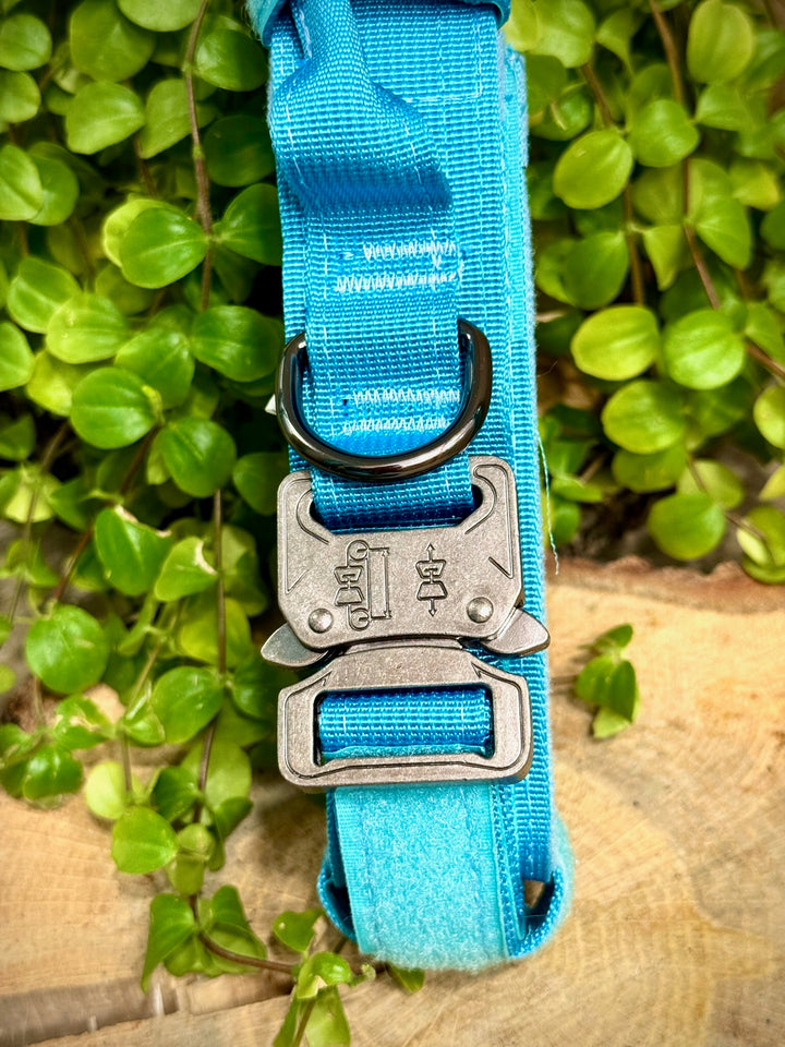 Collar para Perro “Azul Glacial” – Resistencia con Espíritu Aventurero