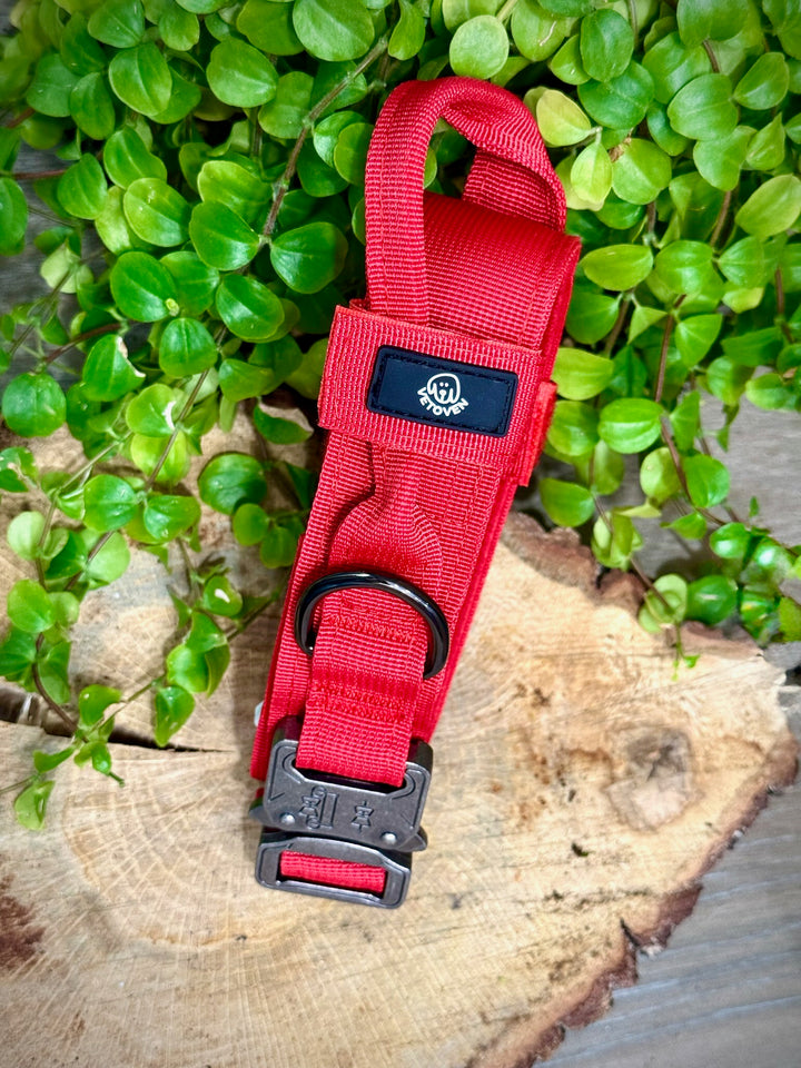 Collar para Perro “Rojo Volcán” – Potencia y Seguridad en Cada Paso