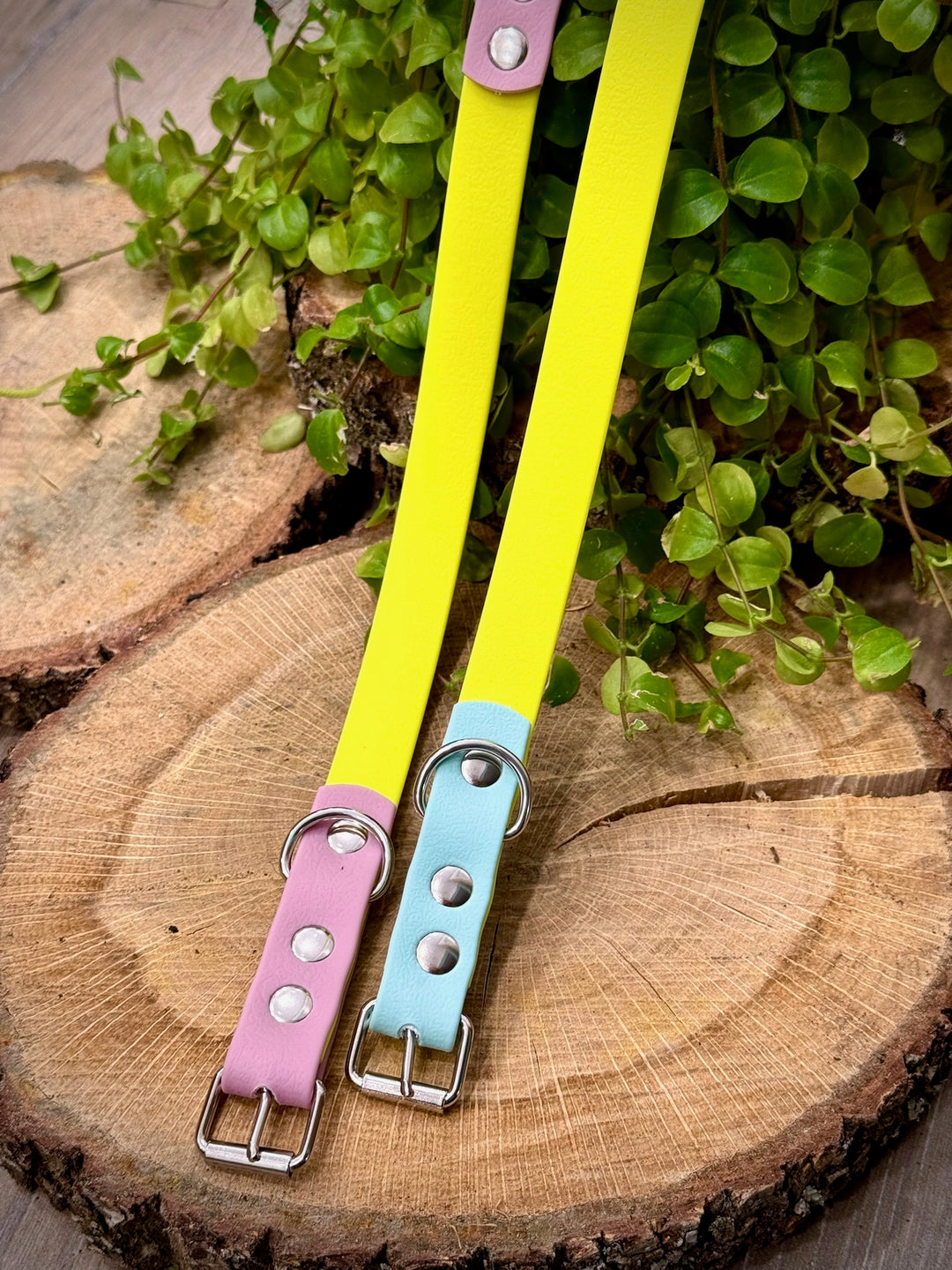 Collar Playa Azul Vetoven – Ligereza, Estilo y Resistencia para Aventuras Veraniegas
