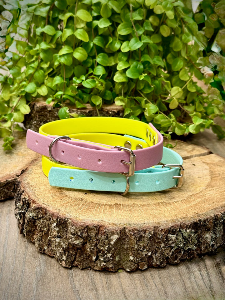 Collar Playa Azul Vetoven – Ligereza, Estilo y Resistencia para Aventuras Veraniegas
