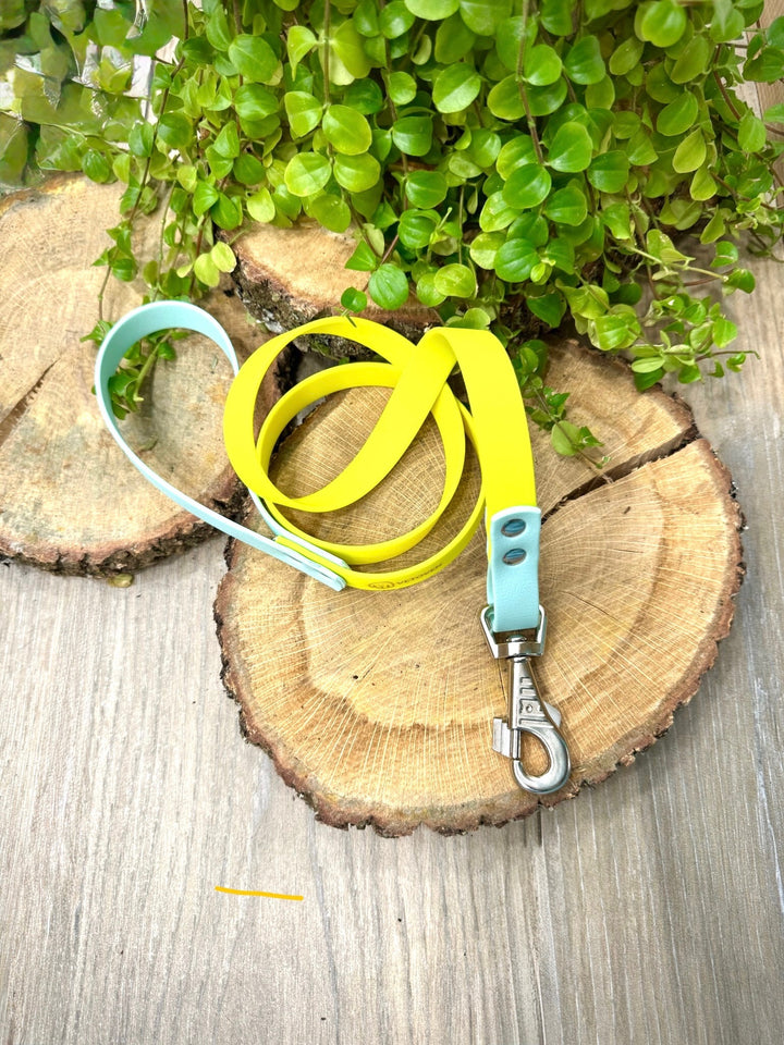 Correa para Perro Waterproof Playa Azul – Resistente, Higiénica y con Estilo Veraniego