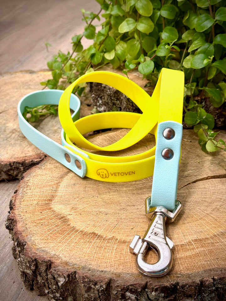 Correa para Perro Waterproof Playa Azul – Resistente, Higiénica y con Estilo Veraniego