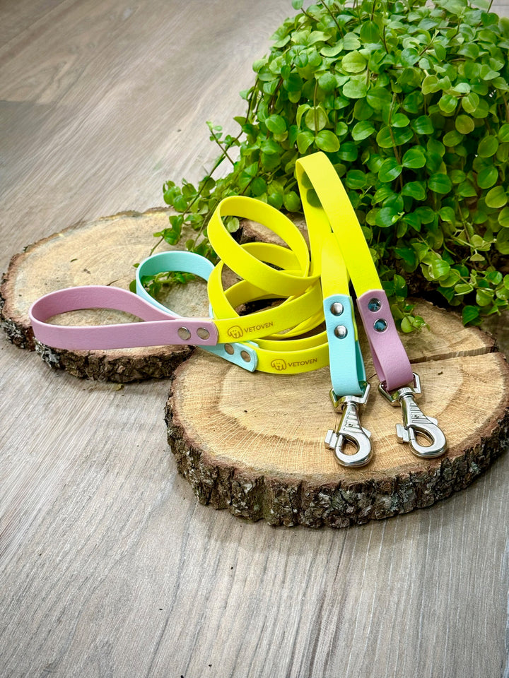 Correa para Perro Waterproof Playa Azul – Resistente, Higiénica y con Estilo Veraniego