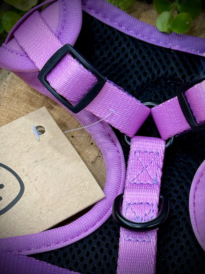 Arnés Lavanda Vetoven – Colección Primavera