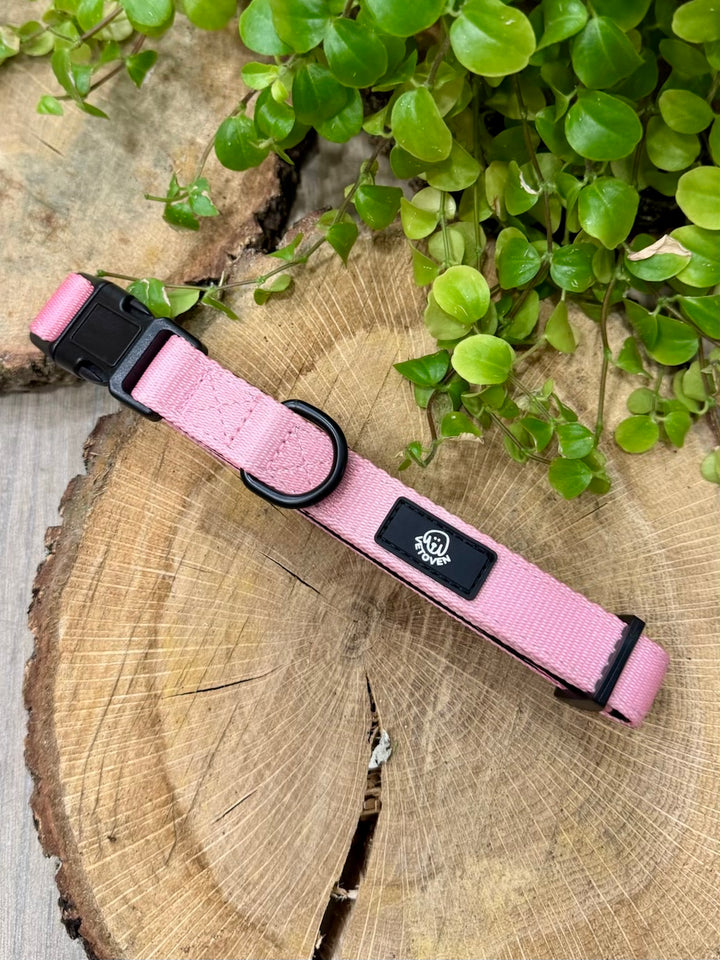 Collar Brezo de Otoño Vetoven – Suavidad, Seguridad y Estilo Natural
